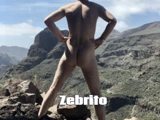 Zebrito