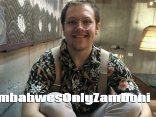 ZimbabwesOnlyZamboni