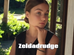 Zeldadrudge