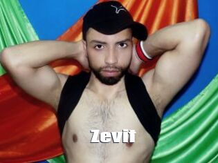 Zevit