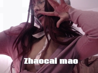 Zhaocai_mao