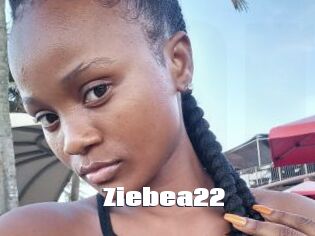 Ziebea22