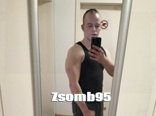 Zsomb95